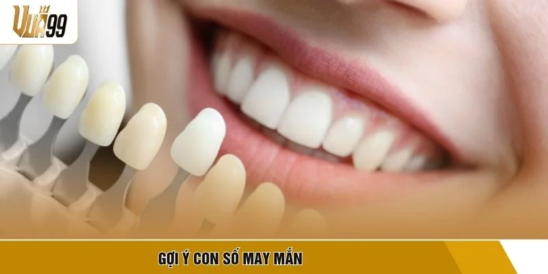 Gợi ý con số may mắn