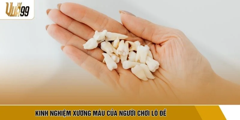 Kinh nghiệm xương máu của người chơi lô đề
