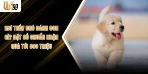 Mơ Thấy Chó Đánh Con Gì? Đặt Số Chuẩn Nhận Quà Tới 500 Triệu