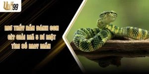Mơ Thấy Rắn Đánh Con Gì? Giải Mã 5 Bí Mật Tìm Số May Mắn
