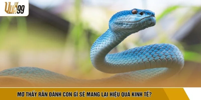 Mơ thấy rắn đánh con gì sẽ mang lại hiệu quả kinh tế?